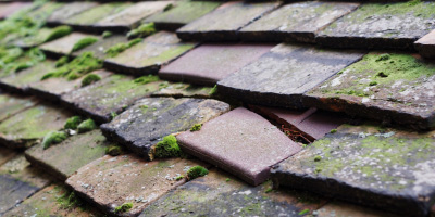 Rampton roof repair costs